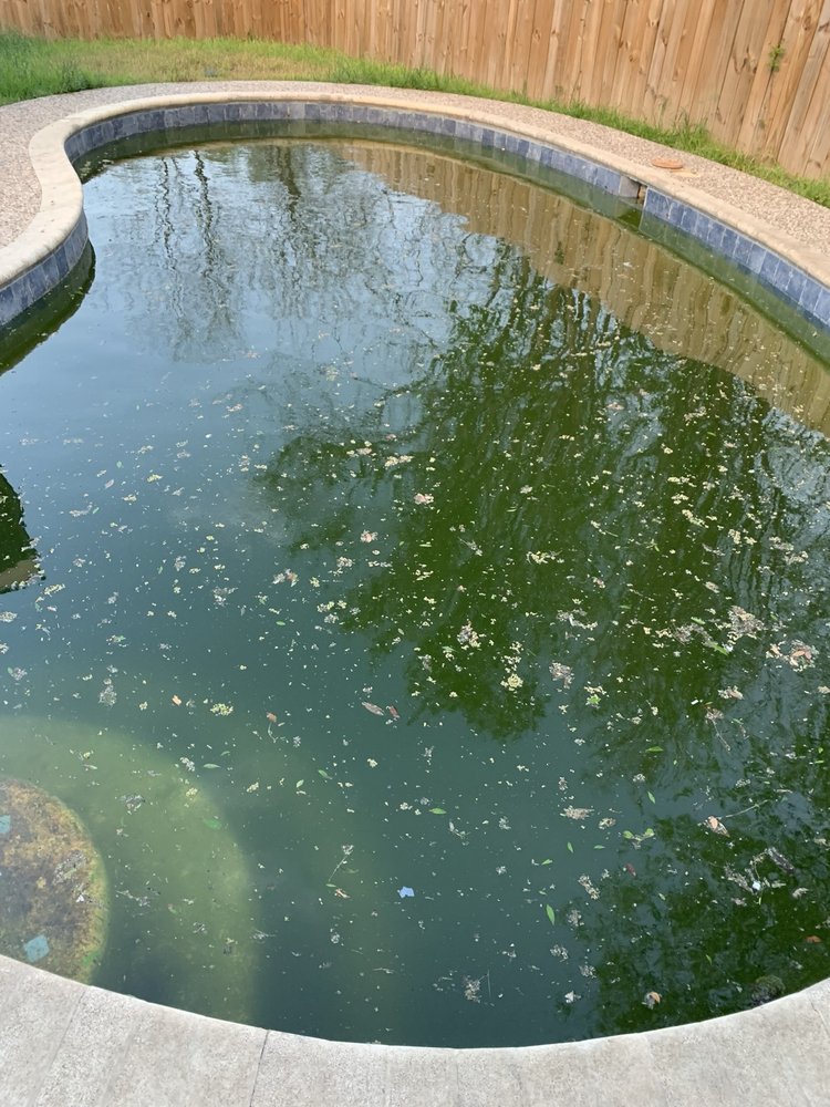 Green cloudy pool before recovery